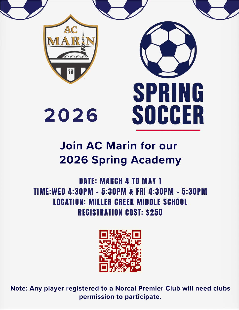 Screenshot 2026-02-19 at 11.22.18 AM